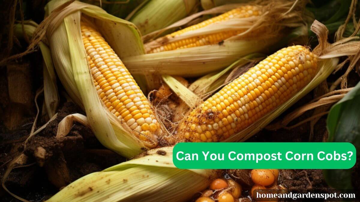 can you compost corn cobs