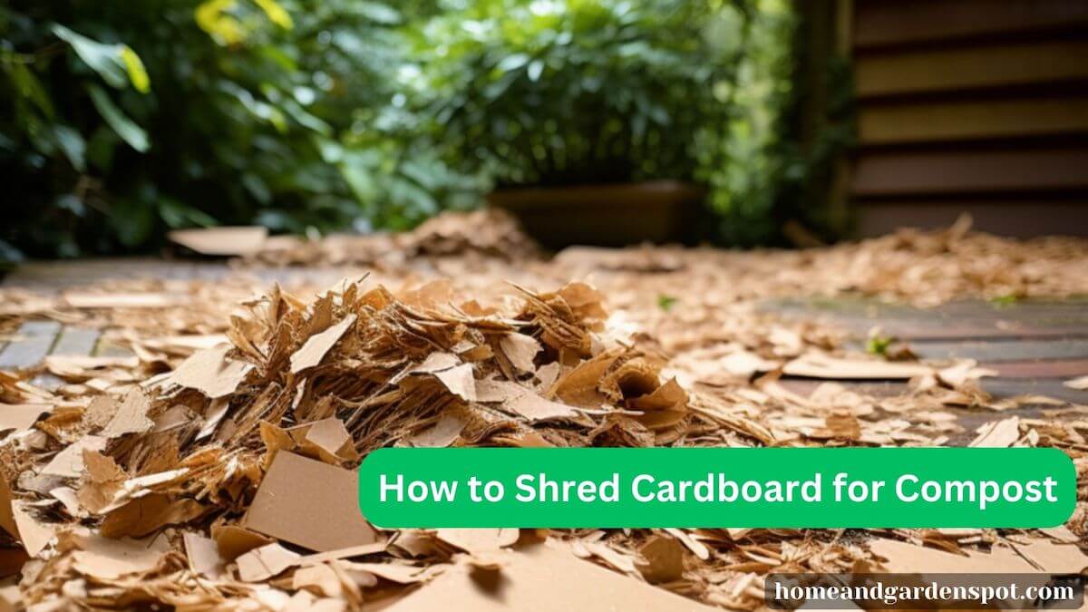 how to shred cardboard for compost