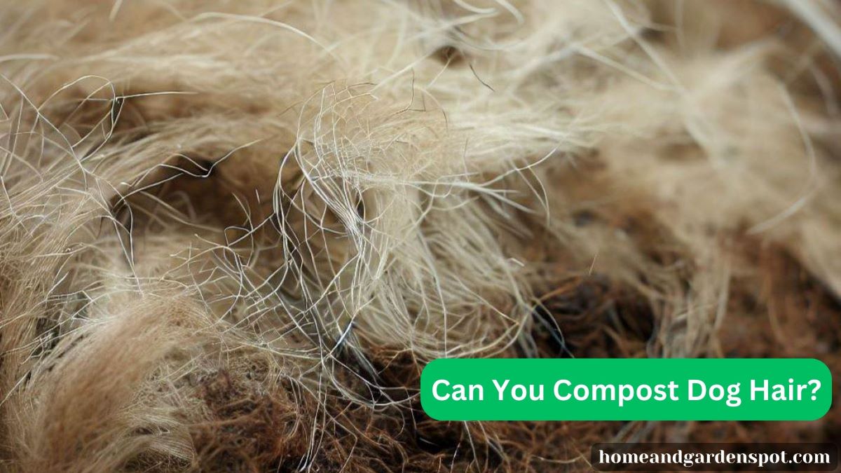 Can you Compost Dog Hair?