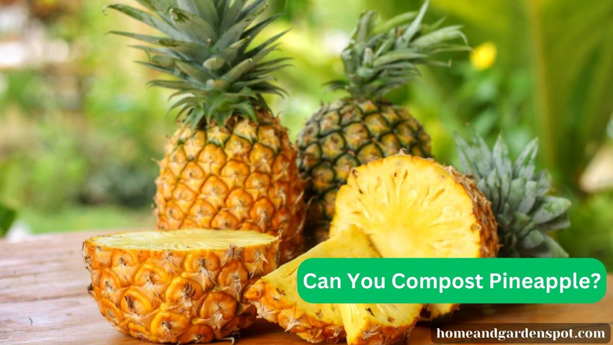 Can You Compost Pineapple?