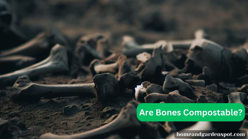 are bones compostable