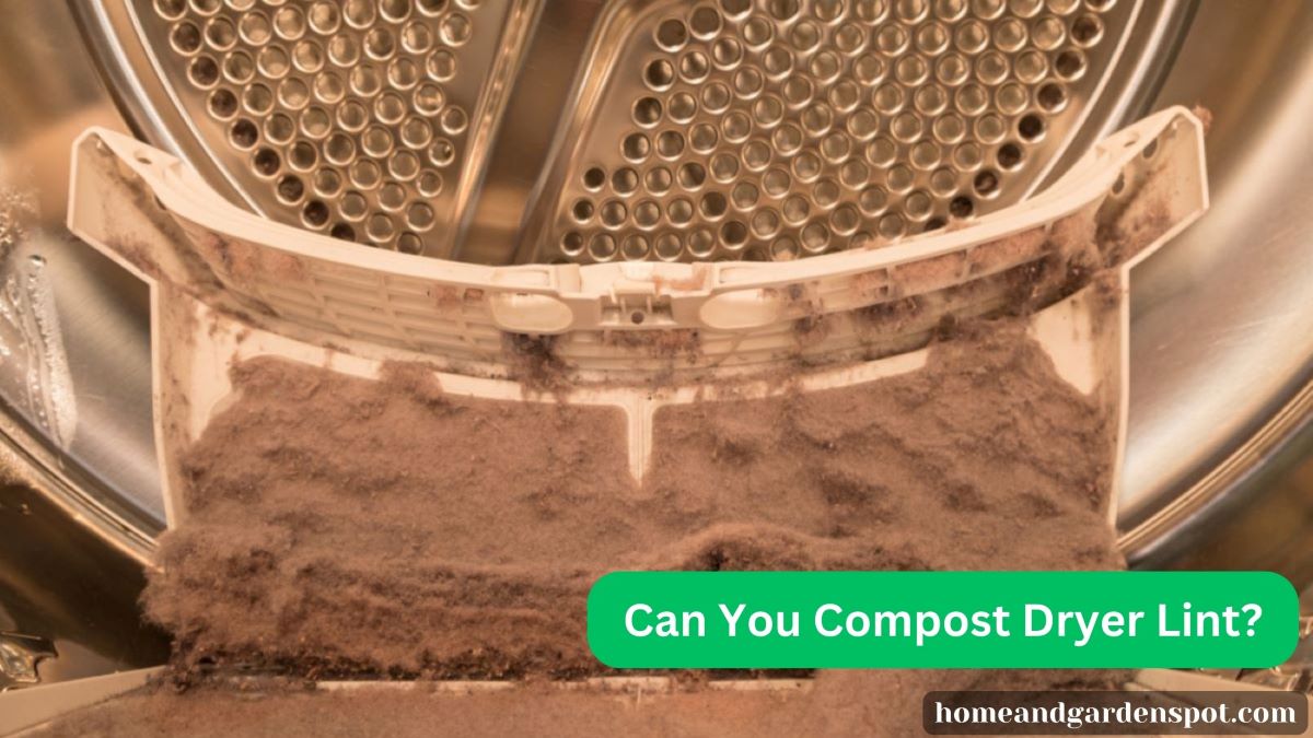 Can I Compost Dryer Lint? [Here’s What You Should Know]