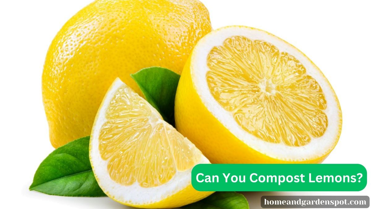 Can You Compost Lemons?