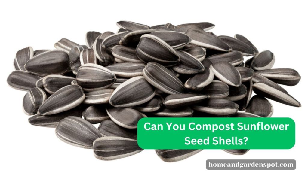 Sunflower Seed Shells