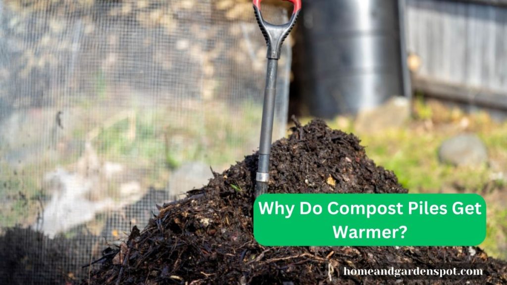 Why Do Compost Piles Get Warmer?