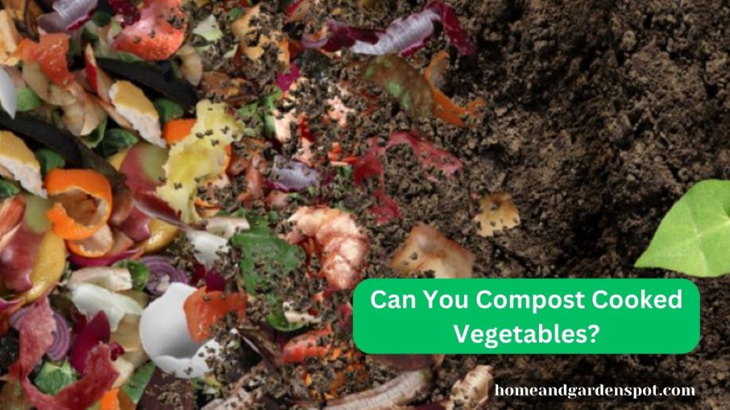 Can You Compost Cooked Vegetables?