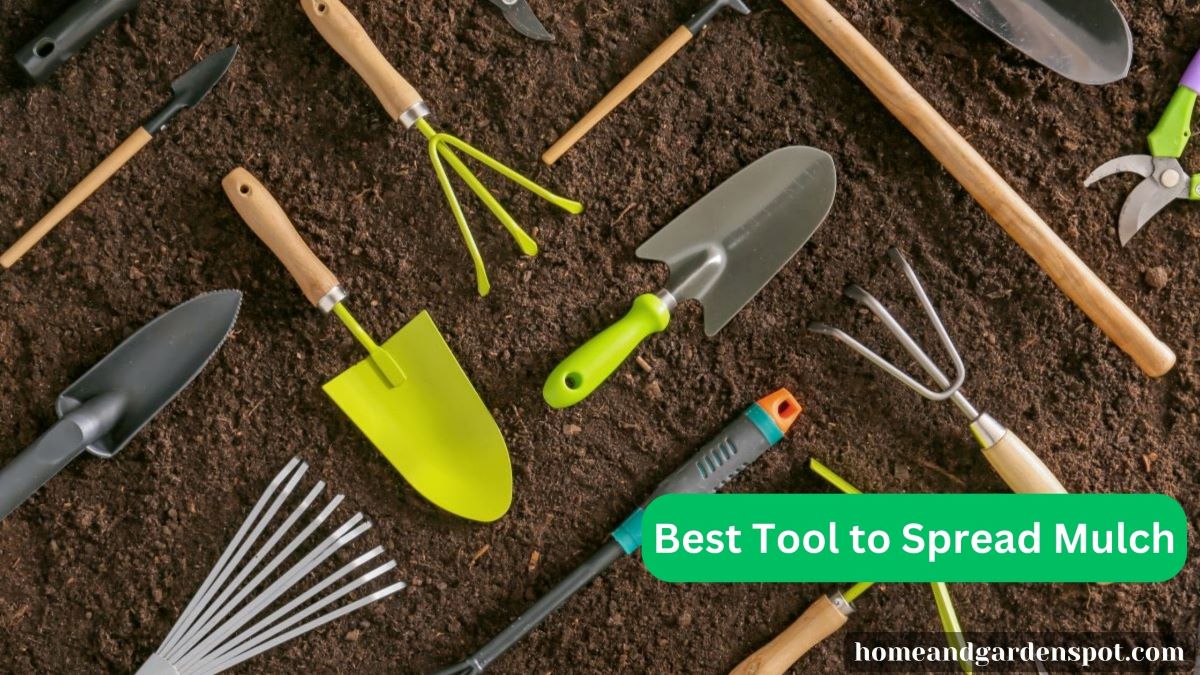 Best Tool to Spread Mulch