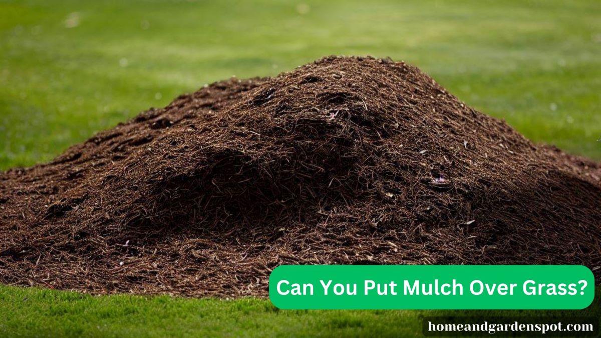 can you put mulch over grass