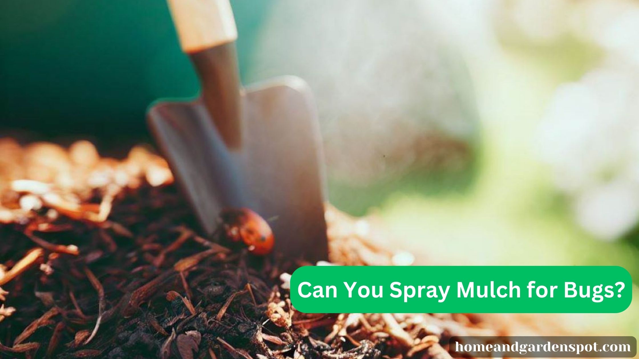 can you spray mulch for bugs