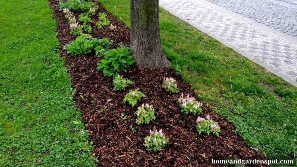 what to do with old mulch