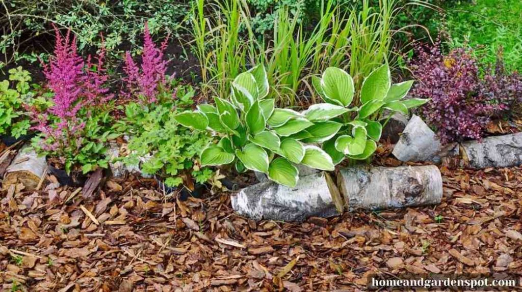 what to do with old mulch