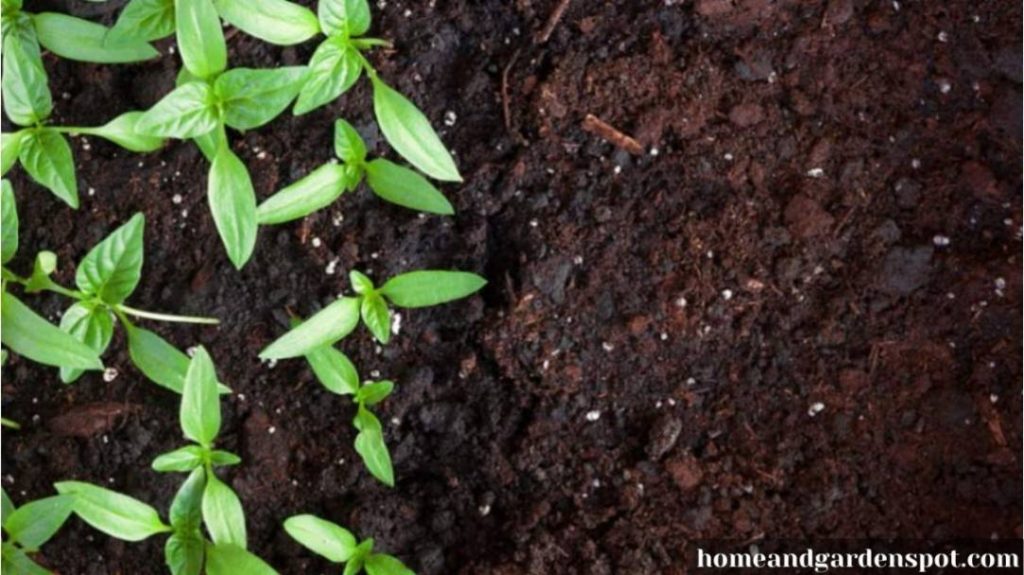 Can you compost dog hair?
