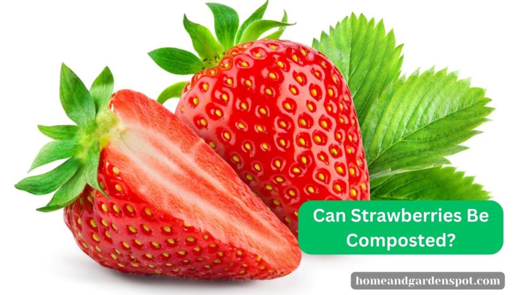 Can Strawberries Be Composted?