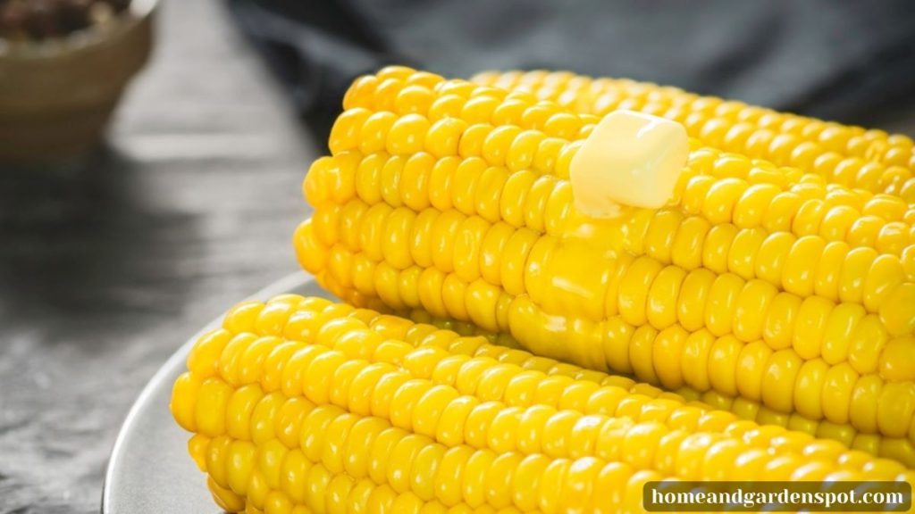 Cooked corn for compost