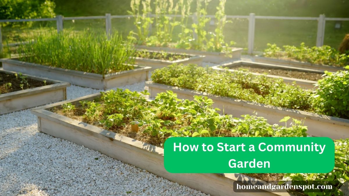 How to Start a Community Garden [Steps & Things You Must Consider]