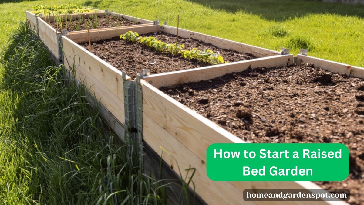 How to Start a Raised Bed Garden