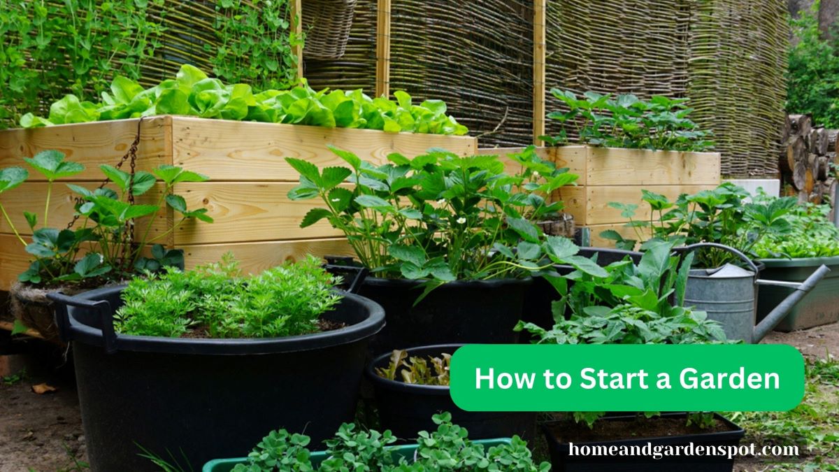 how to start a garden