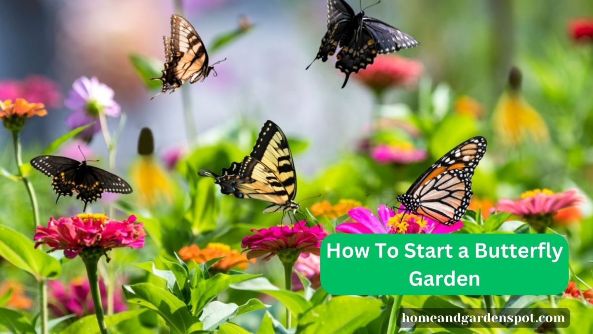 how to start a butterfly garden