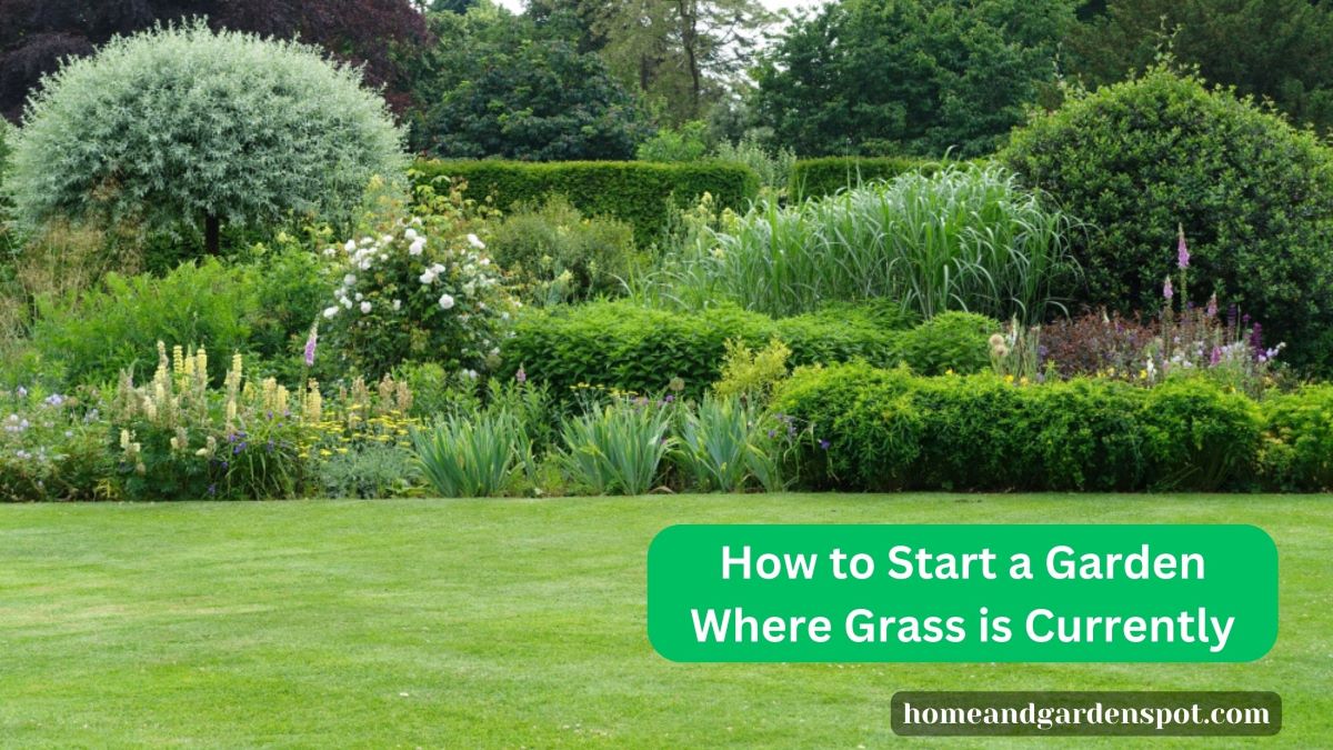 how to start a garden where grass is currently