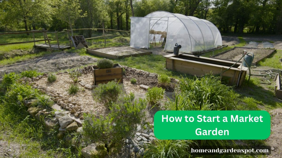 how to start a market garden