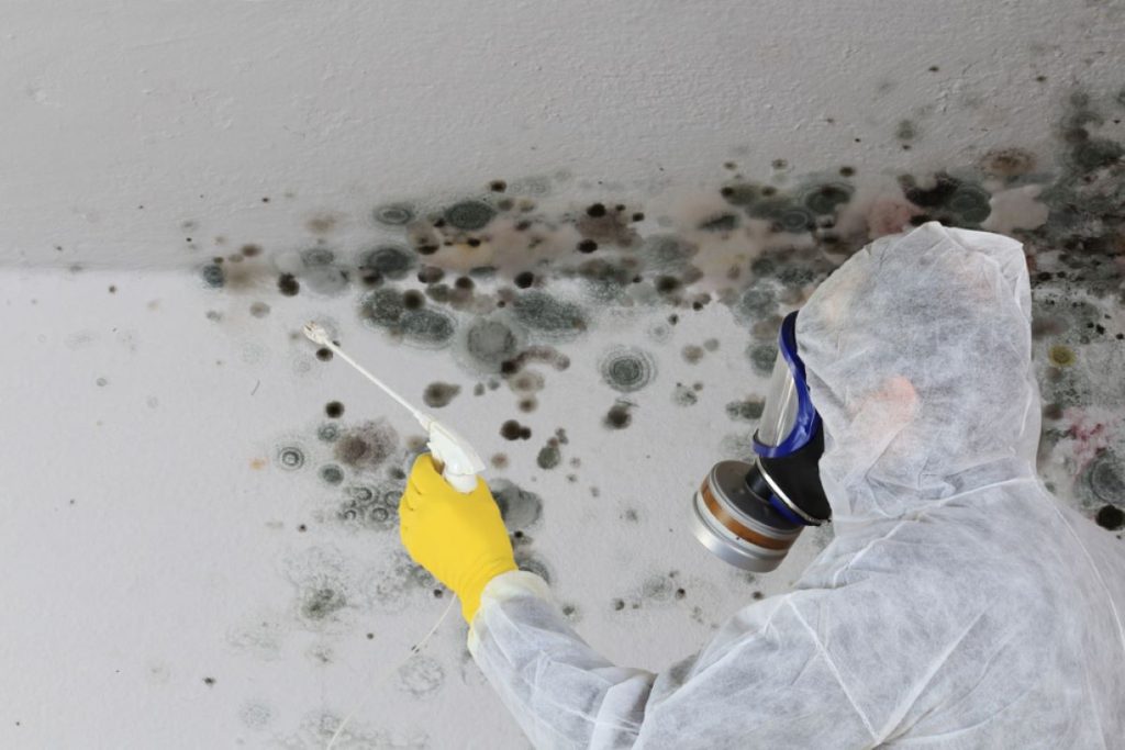 cleaning mold from wall