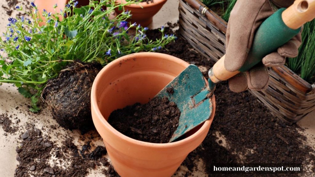 Transplanting spade