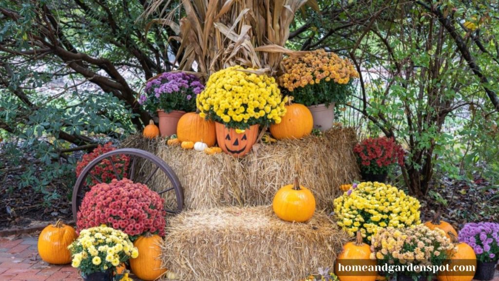 flowers in pumpkin