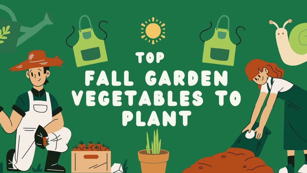 fall garden vegetables to plant